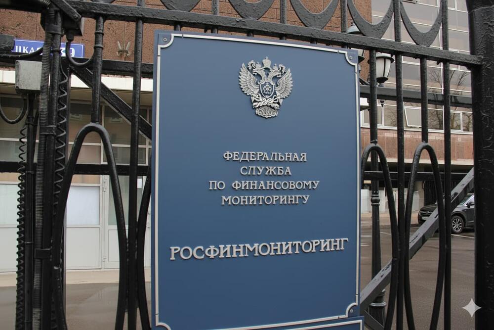 Росфинмониторинг получит прямой доступ к данным СБП и карт Мир
